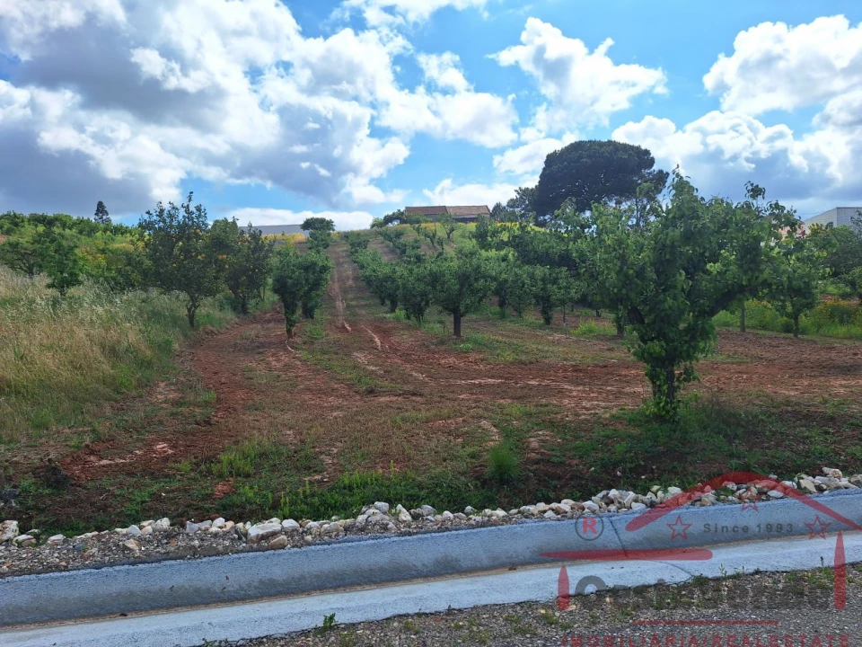 Moradia T2 para Venda em Lamas e Cercal Foto 24