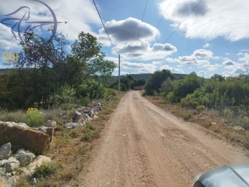 Terreno para Venda em Boliqueime