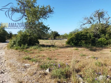 Terreno para Venda em Boliqueime