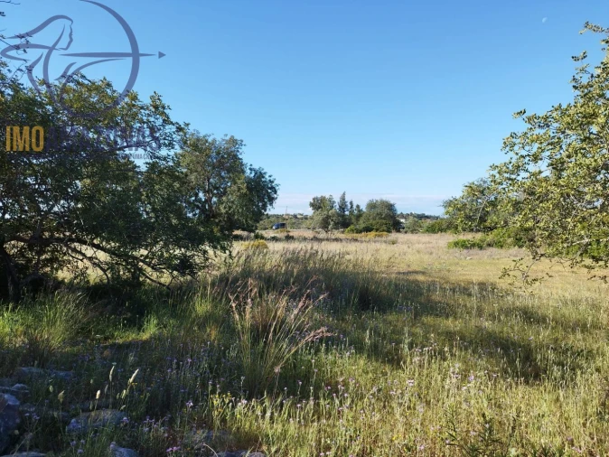 Terreno para Venda em Boliqueime Foto 10