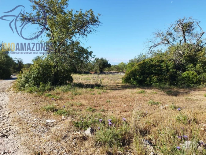 Terreno para Venda em Boliqueime Foto 14