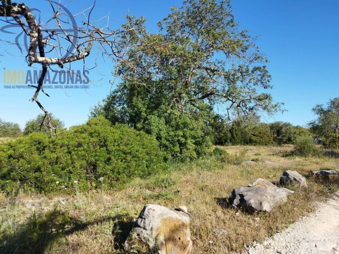 Terreno para Venda em Boliqueime Foto 11