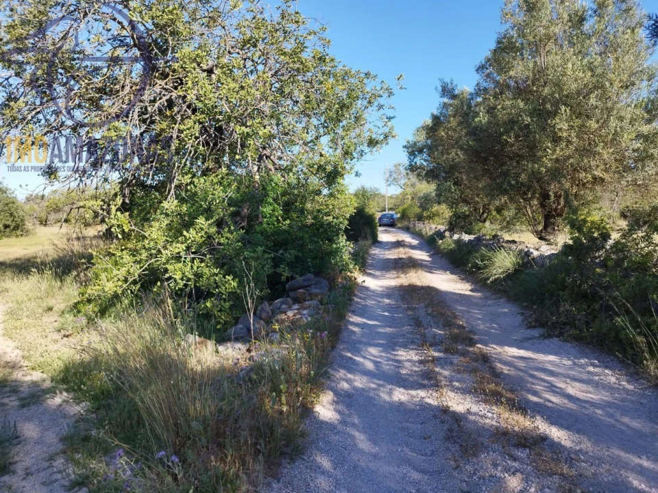 Terreno para Venda em Boliqueime Foto 8