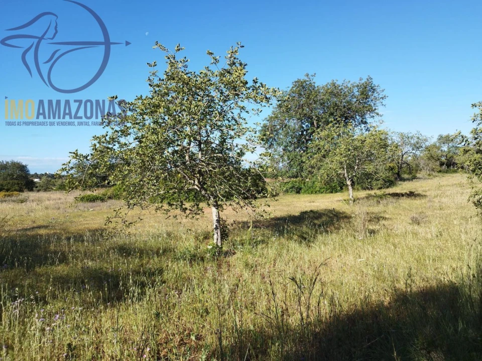 Terreno para Venda em Boliqueime Foto 9