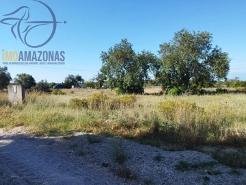 Terreno para Venda em Boliqueime