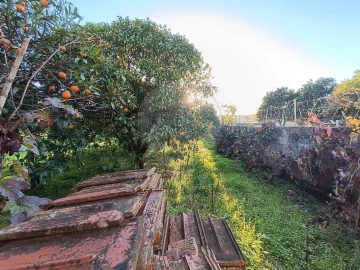Terreno para Venda em Pontevel