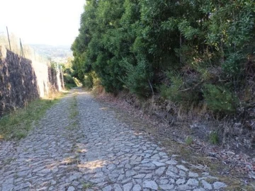 Terreno para Venda em Venade e Azevedo