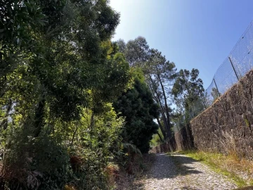 Terreno para Venda em Venade e Azevedo