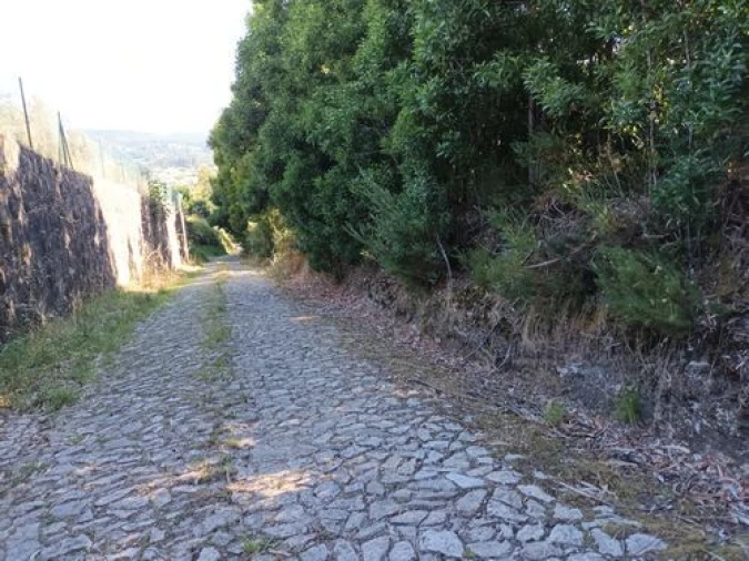 Terreno para Venda em Venade e Azevedo Foto 5