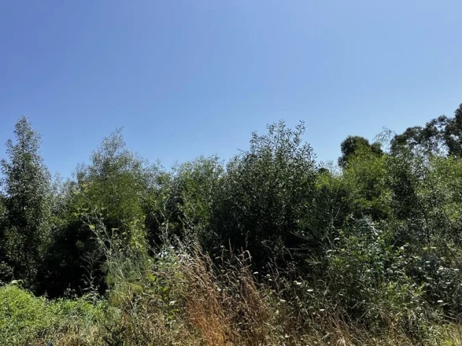 Terreno para Venda em Venade e Azevedo Foto 4