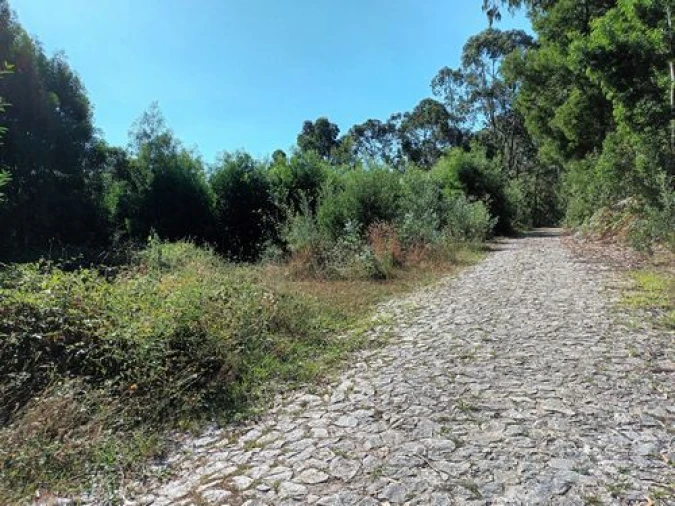 Terreno para Venda em Venade e Azevedo Foto 7