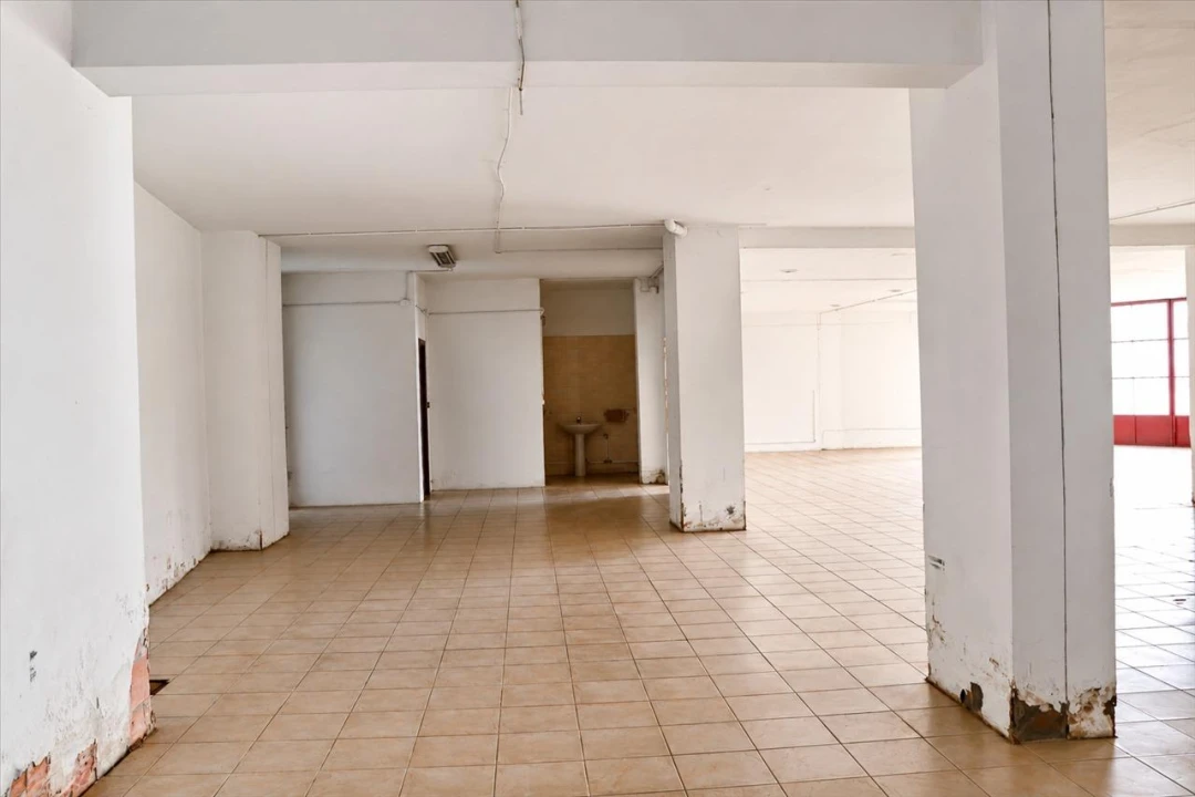 Negócio para Venda em Delães Foto 5