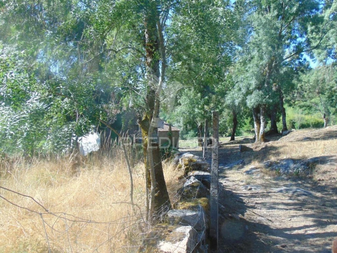 Moradia T2 para Venda em Torgueda Foto 2