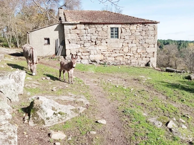 Moradia T2 para Venda em Torgueda Foto 5