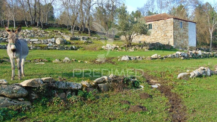 Moradia T2 para Venda em Torgueda