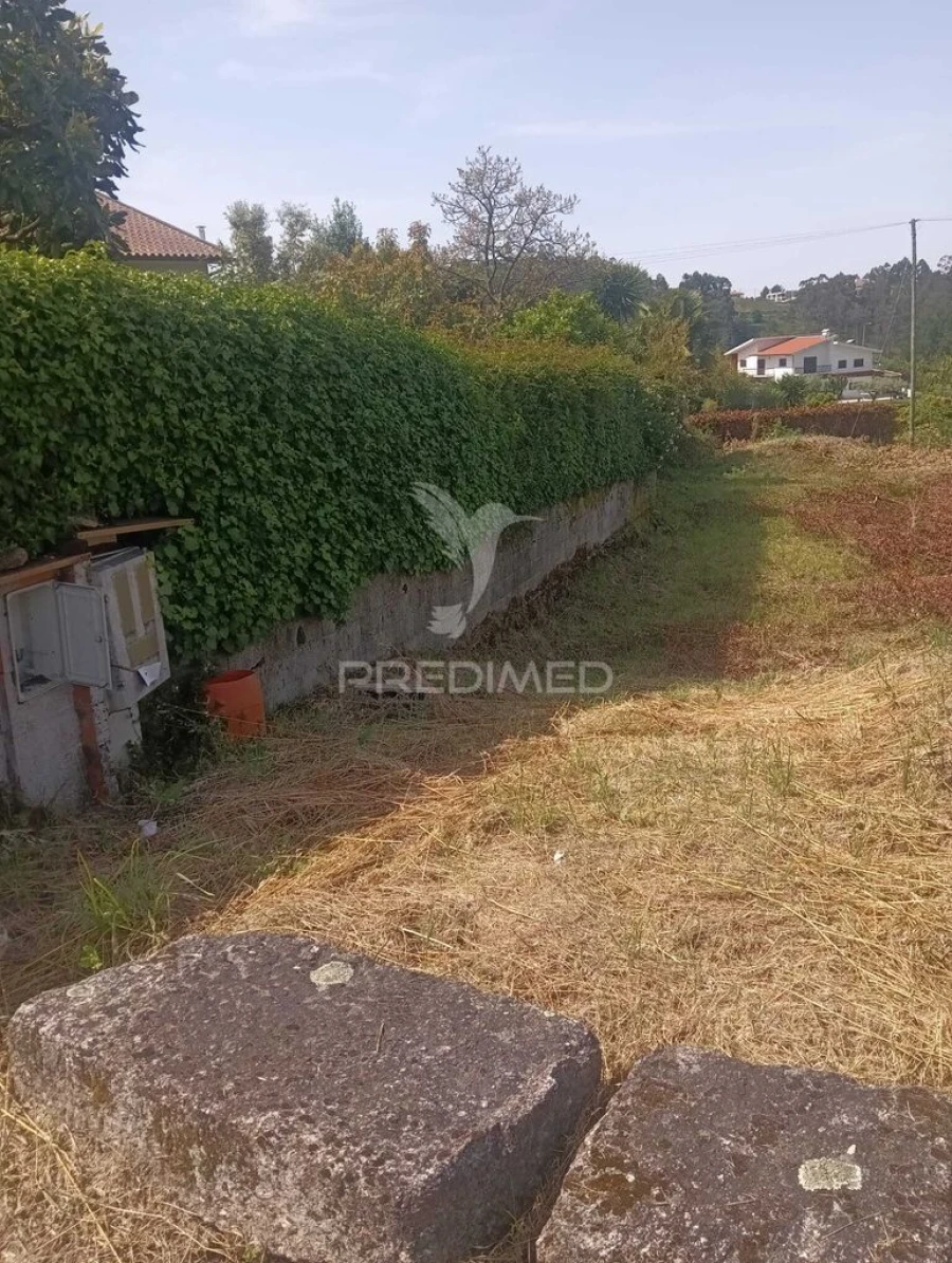 Moradia T3 para Venda em Quinchães Foto 7