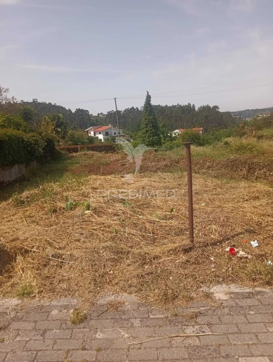 Moradia T3 para Venda em Quinchães Foto 5