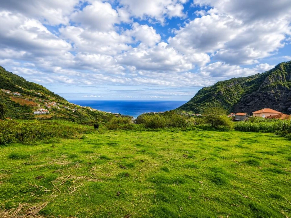 Moradia T3 para Venda em São Roque do Faial Foto 42