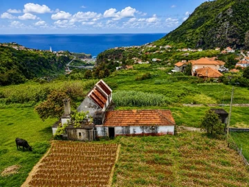 Moradia T3 para Venda em São Roque do Faial