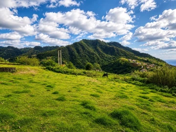 Moradia T3 para Venda em São Roque do Faial