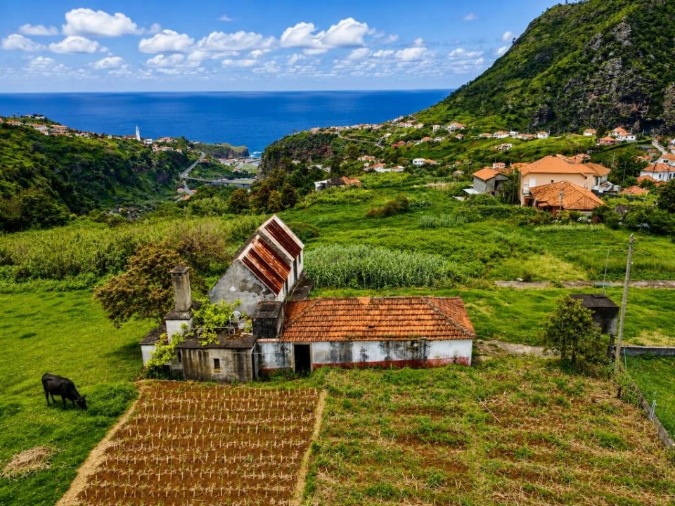 Moradia T3 para Venda em São Roque do Faial Foto 44