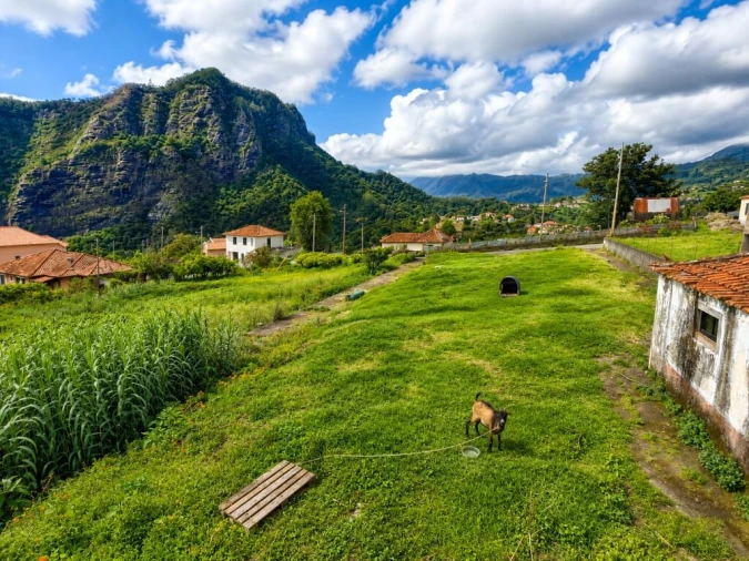 Moradia T3 para Venda em São Roque do Faial Foto 40