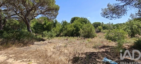 Terreno para Venda em Quarteira