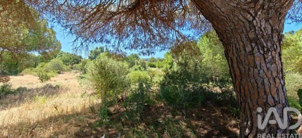 Terreno para Venda em Quarteira