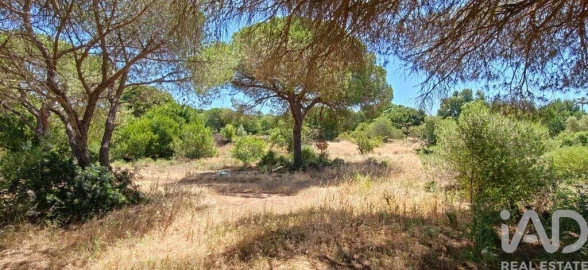 Terreno para Venda em Quarteira
