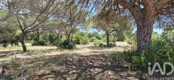 Terreno para Venda em Quarteira