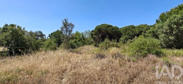 Terreno para Venda em Quarteira