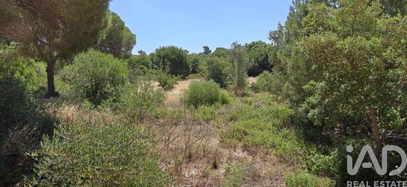 Terreno para Venda em Quarteira Foto 2
