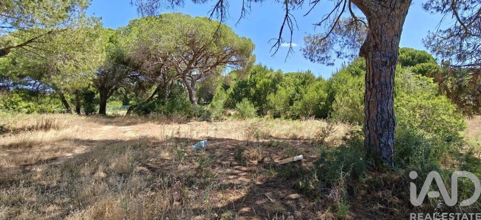 Terreno para Venda em Quarteira Foto 18