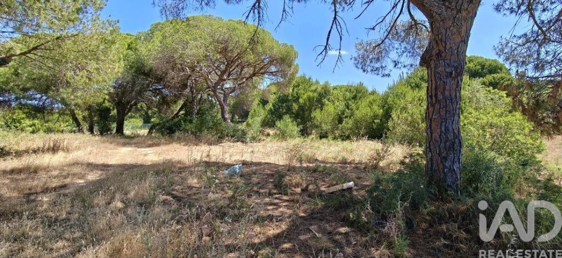 Terreno para Venda em Quarteira Foto 18
