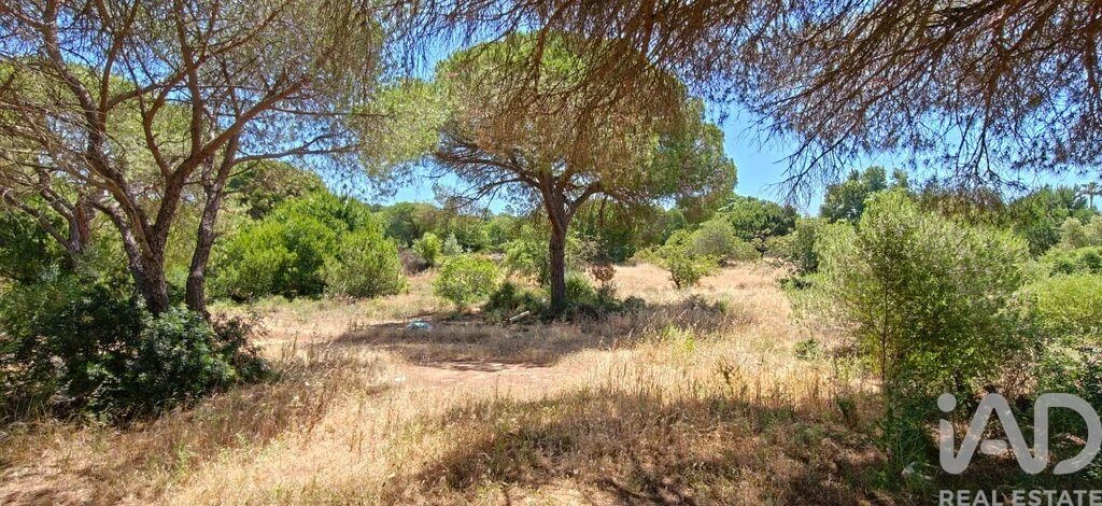 Terreno para Venda em Quarteira Foto 4