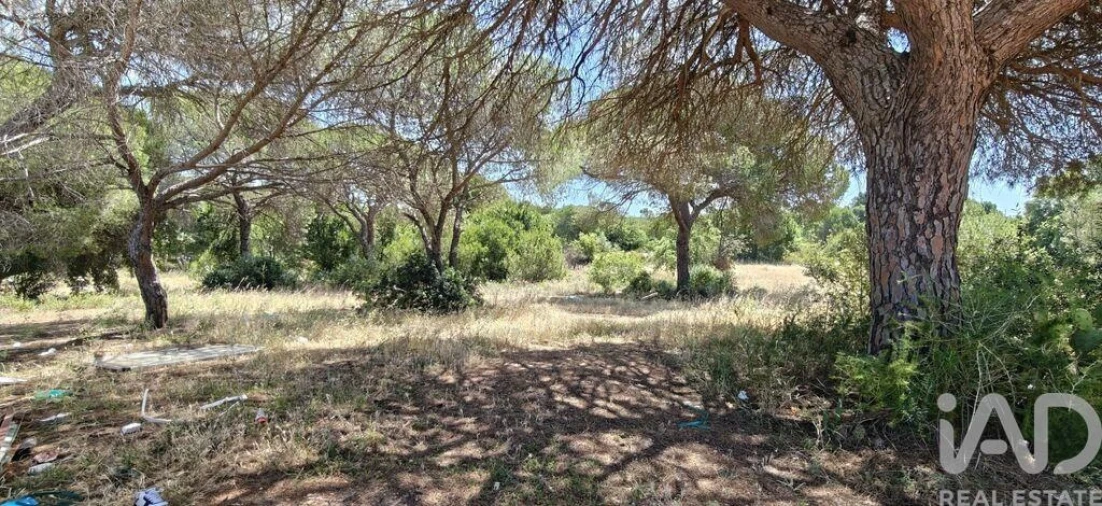 Terreno para Venda em Quarteira Foto 16