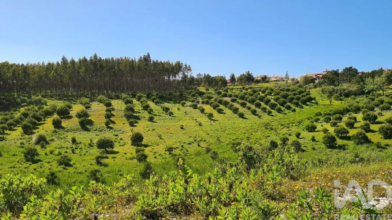 Terreno para Venda em Nossa Senhora do Pópulo, Coto e São Gregório Foto 13
