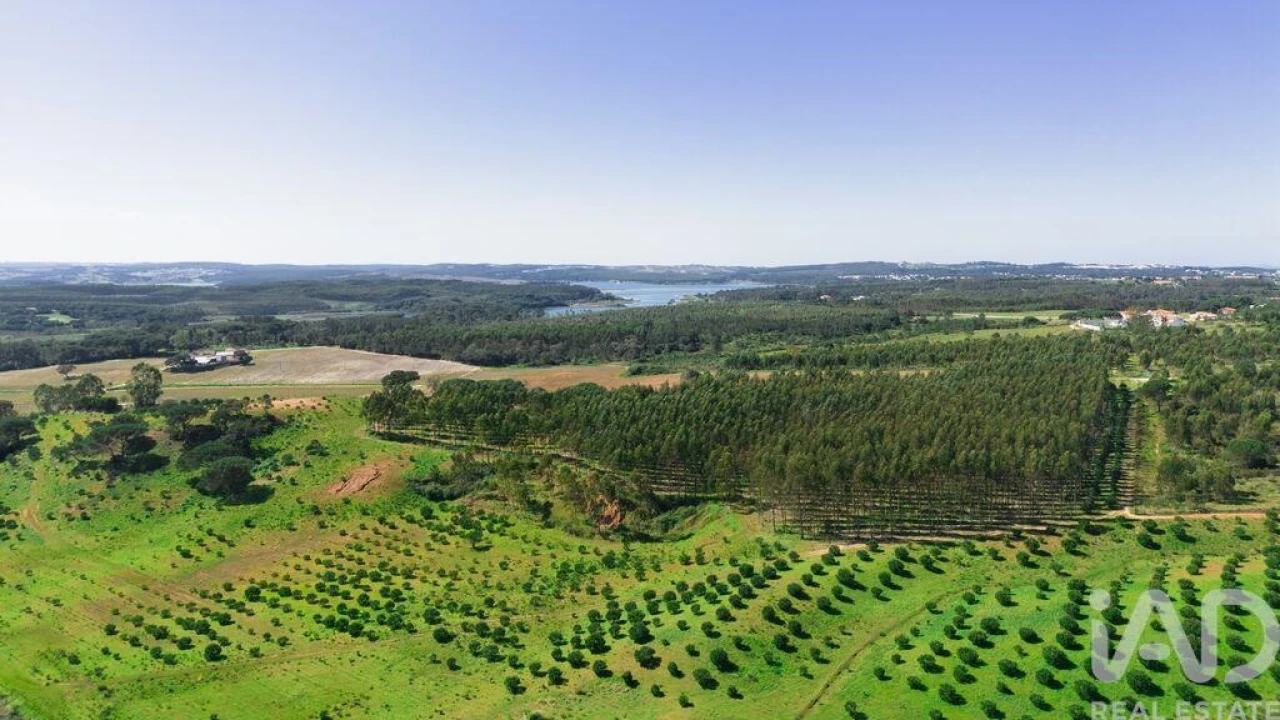 Terreno para Venda em Nossa Senhora do Pópulo, Coto e São Gregório Foto 14