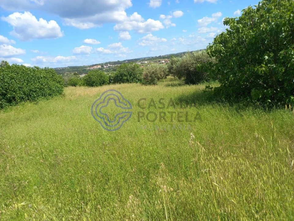 Terreno para Venda em São Pedro de Tomar Foto 1