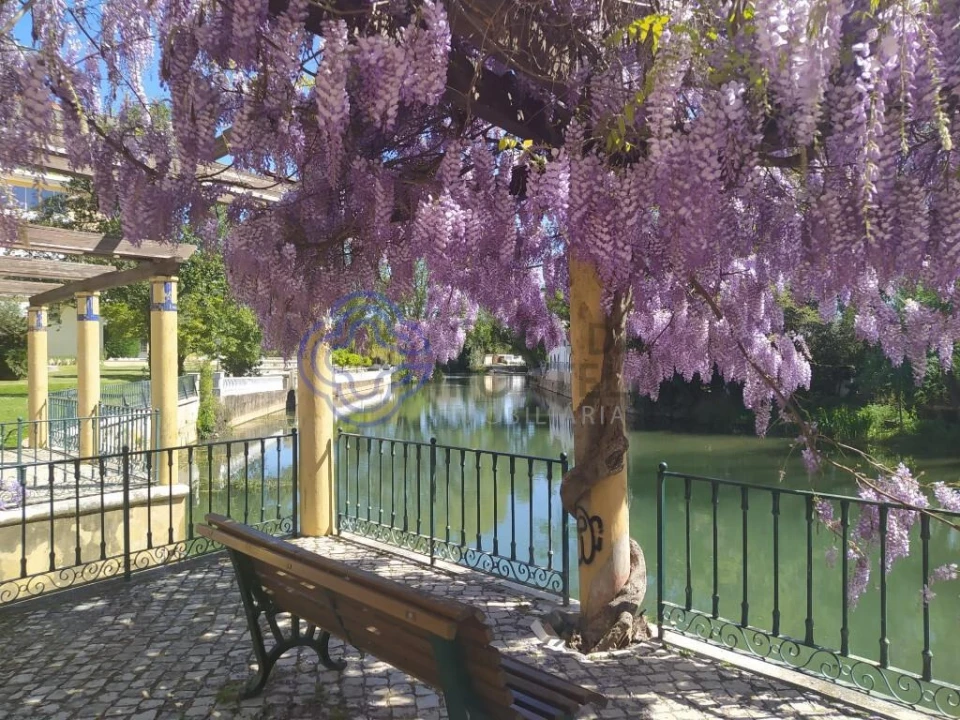 Terreno para Venda em São Pedro de Tomar Foto 19