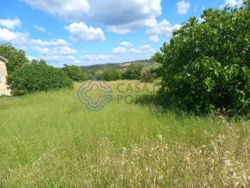 Terreno para Venda em São Pedro de Tomar