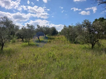 Terreno para Venda em São Pedro de Tomar
