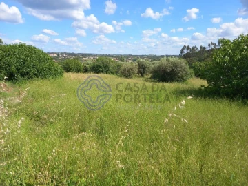 Terreno para Venda em São Pedro de Tomar