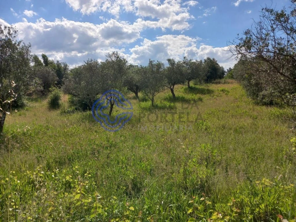 Terreno para Venda em São Pedro de Tomar Foto 8
