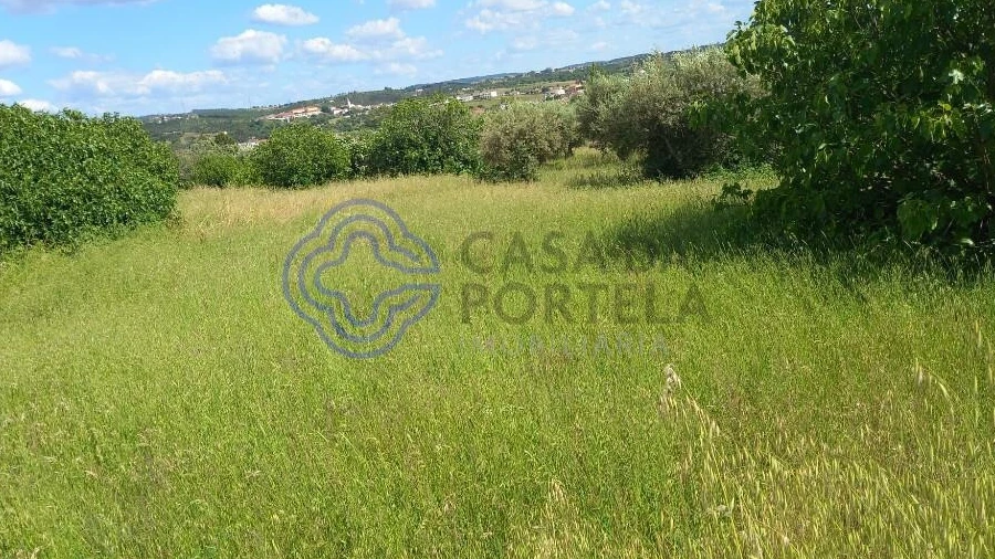 Terreno para Venda em São Pedro de Tomar