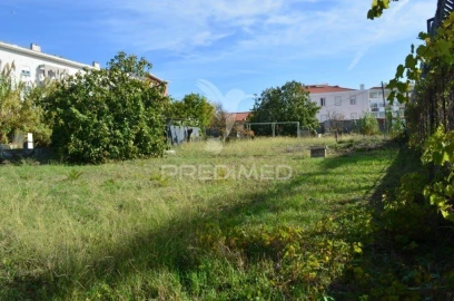 Terreno para Venda em Ajuda