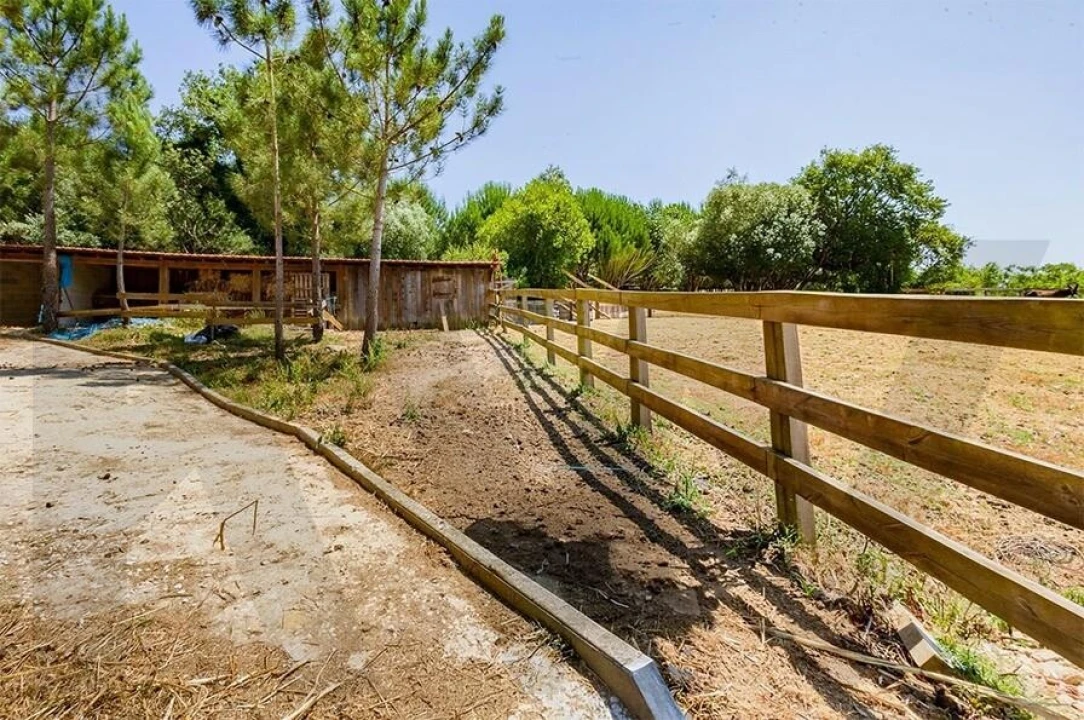 Quinta T5 para Venda em Calvaria de Cima Foto 36
