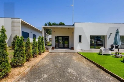 Quinta T5 para Venda em Calvaria de Cima