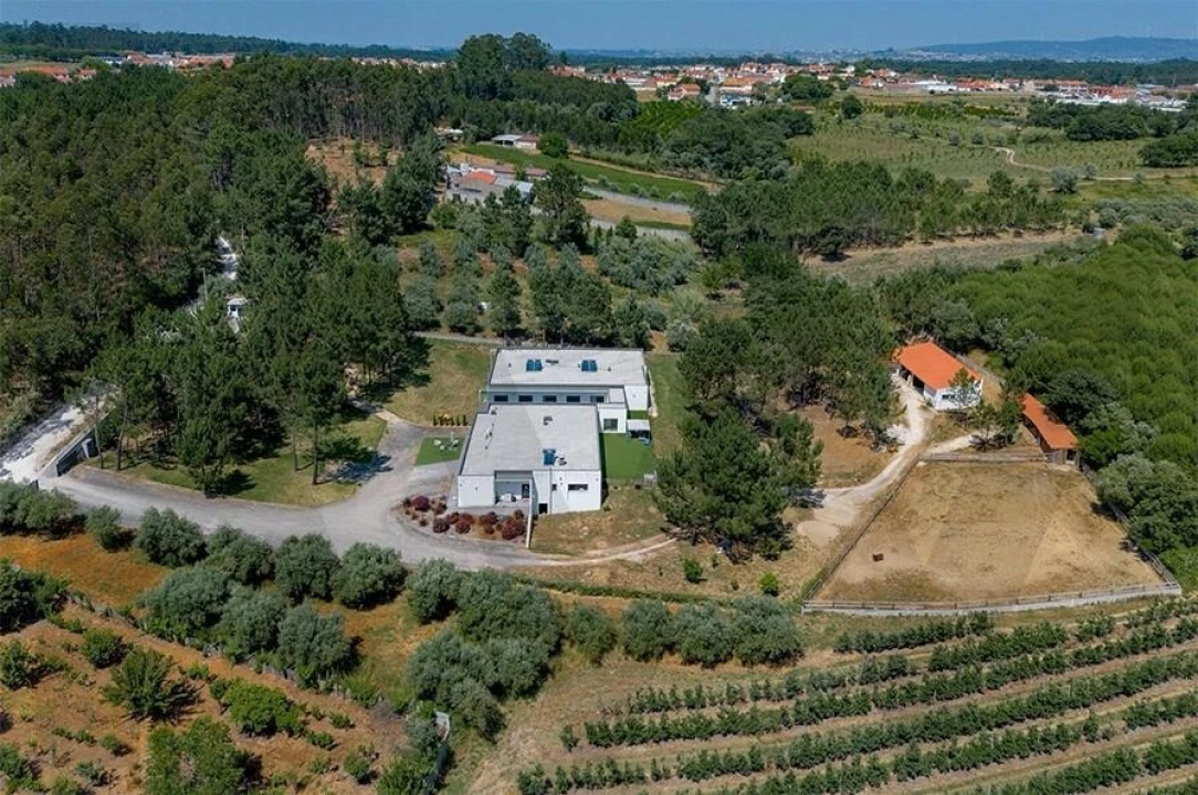 Quinta T5 para Venda em Calvaria de Cima Foto 3