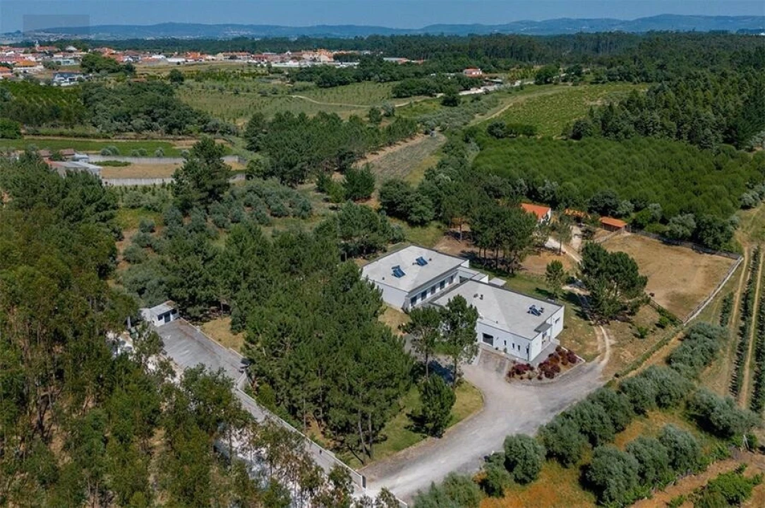 Quinta T5 para Venda em Calvaria de Cima Foto 2